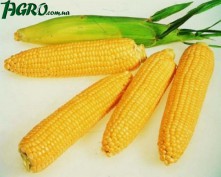 1agro.com.ua