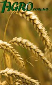1agro.com.ua