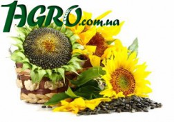 1agro.com.ua