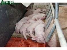 1agro.com.ua