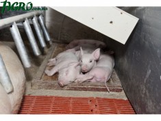 1agro.com.ua