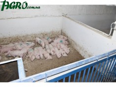 1agro.com.ua