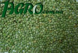 1agro.com.ua