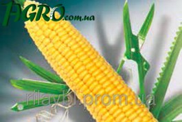 1agro.com.ua