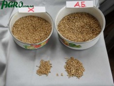 1agro.com.ua