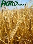 1agro.com.ua