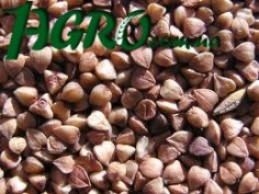 1agro.com.ua