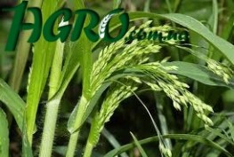 1agro.com.ua