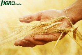1agro.com.ua