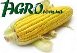 1agro.com.ua