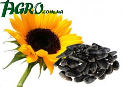 1agro.com.ua